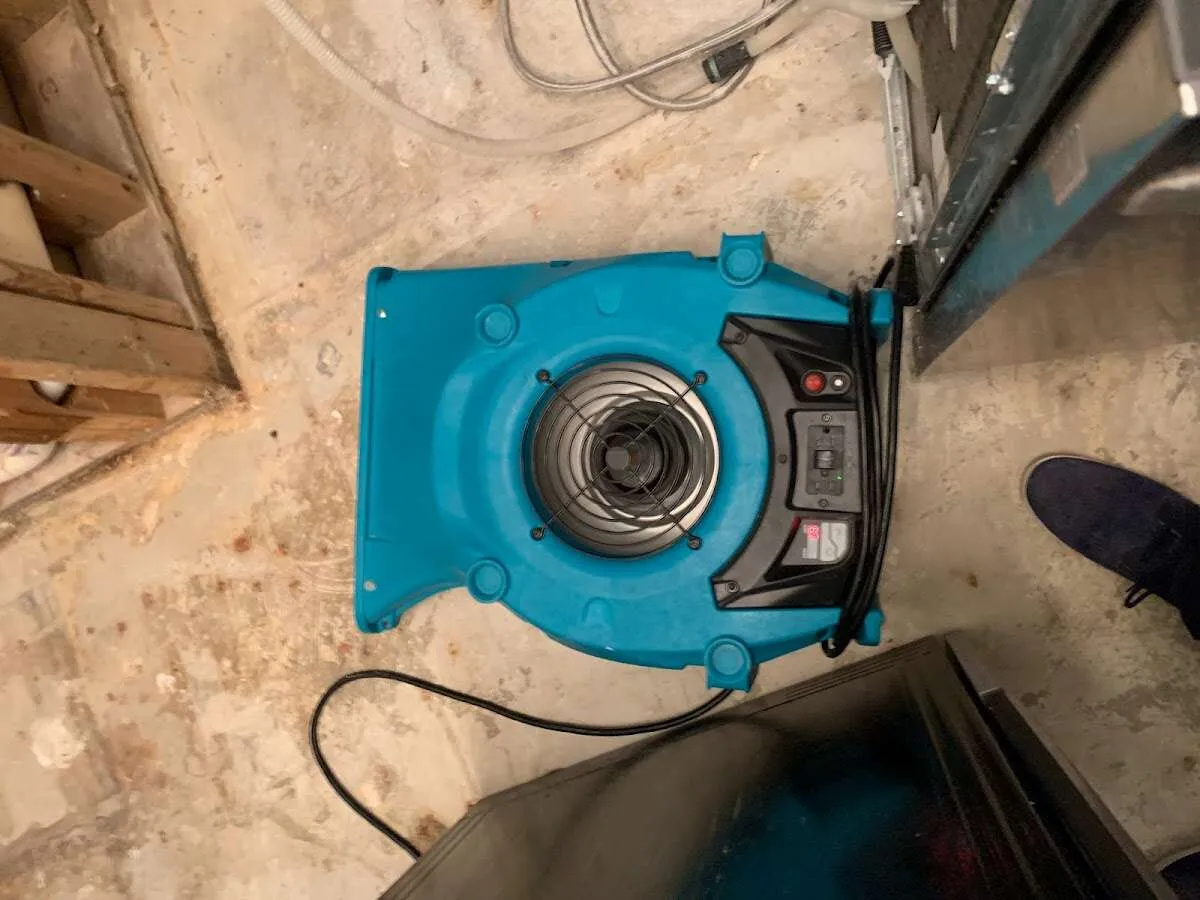 Air mover drying equipment for Mold Remediation & Removal in Palos Verdes Estates