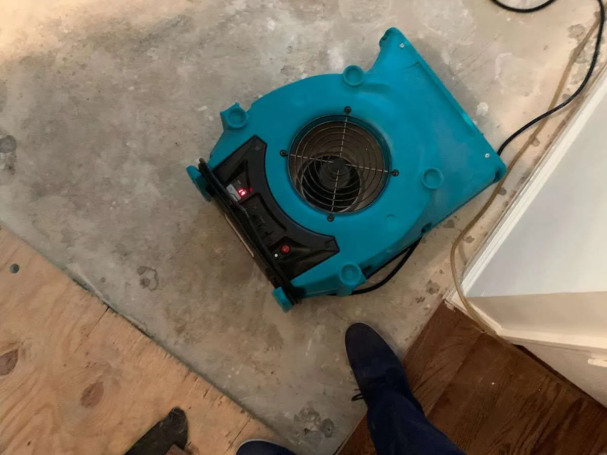 Air mover drying subfloor during Commercial Water Damage Restoration in Palos Verdes Estates